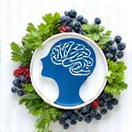 Nutrition cerveau mémoire
